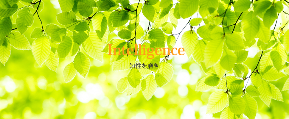 Intelligence 知性を磨き